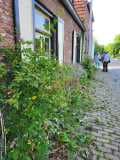 Planten wandeling Herpt Planten wandeling Herpt
