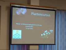 Plantencursus Plantencursus