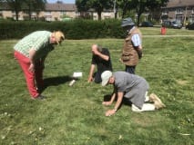 Planten inventarisatie Planten inventarisatie