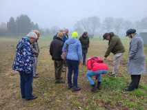 Planten wandeling Vliedberg Planten wandeling Vliedberg