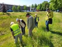 Planten inventarisatie Vliedberg Planten inventarisatie Vliedberg