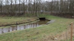 Gebied klimaatbuffer zuid van A59 Gebied klimaatbuffer zuid van A59