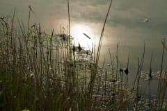 Wandeling Moerputten 2011 Wandeling Moerputten 2011