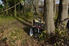 Venne-Oost afhalen planten Venne-Oost afhalen planten