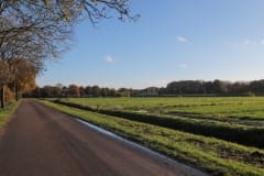 Biessertweg 2022 Biessertweg 2022