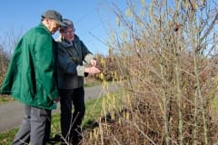 Natuurwerkgroep bij Ommetje Elshout Natuurwerkgroep bij Ommetje Elshout