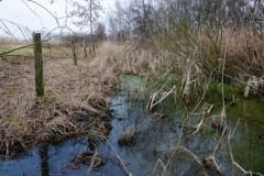 Natuurwerkgroep bij Harten Aas Natuurwerkgroep bij Harten Aas