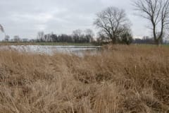 Natuurwerkgroep bij Harten Aas Natuurwerkgroep bij Harten Aas