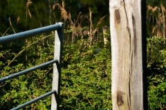 Natuurwerk in de Ottershoek Natuurwerk in de Ottershoek