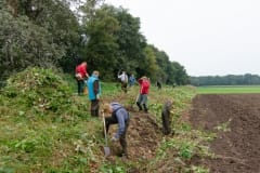 Verwijderen Japanse Duizendknoop van de Heidijk Verwijderen Japanse Duizendknoop van de Heidijk