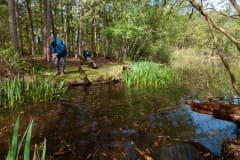 Natuurwerk in de Ottershoek Natuurwerk in de Ottershoek