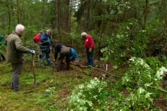 Natuurwerk in de Ottershoek Natuurwerk in de Ottershoek