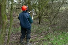 Natuurbeheer in de Baardwijkse Overlaat Natuurbeheer in de Baardwijkse Overlaat