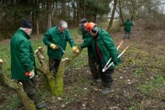 Natuurbeheer in de Baardwijkse Overlaat Natuurbeheer in de Baardwijkse Overlaat