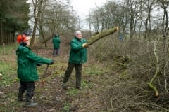 Natuurbeheer in de Baardwijkse Overlaat Natuurbeheer in de Baardwijkse Overlaat