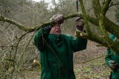 Natuurbeheer in de Baardwijkse Overlaat Natuurbeheer in de Baardwijkse Overlaat