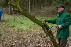 Natuurbeheer in de Baardwijkse Overlaat Natuurbeheer in de Baardwijkse Overlaat
