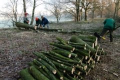 Onderhoud aan de Kanaaldijk nov 2019 Onderhoud aan de Kanaaldijk nov 2019
