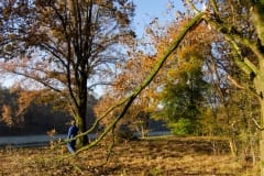 Onderhoud aan de Kanaaldijk nov 2019 Onderhoud aan de Kanaaldijk nov 2019