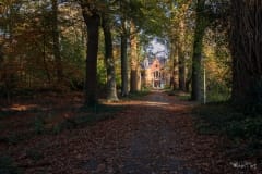 Kasteel Steenenburg gezien vanuit oostelijk laantje Kasteel Steenenburg gezien vanuit oostelijk laantje