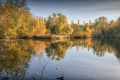 Grote vijver Grote vijver