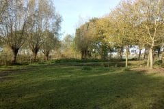 De Zwollemoer Drunen - samentuin in wording De Zwollemoer Drunen - samentuin in wording