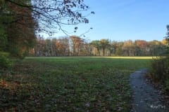 Vroeger arenaterrein Vroeger arenaterrein