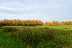 Biessertpolder